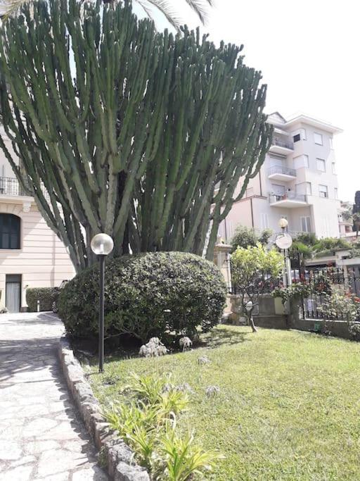 La Casa Di Anna, In Palazzina Liberty Fronte Parco Lägenhet Bordighera Exteriör bild
